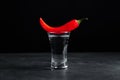 Red hot chili pepper and vodka in shot glass on grey table against black background Royalty Free Stock Photo