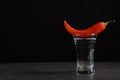 Red hot chili pepper and vodka in shot glass on grey table against black background, space for text Royalty Free Stock Photo
