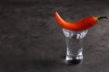 Red hot chili pepper and vodka in shot glass on grey table, space for text Royalty Free Stock Photo