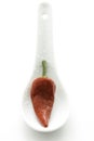 Red hot chili pepper Royalty Free Stock Photo