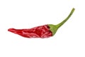 Red hot chili pepper on white background Royalty Free Stock Photo