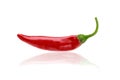 Red hot chili pepper on white background with shadows Royalty Free Stock Photo