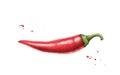 Red hot chili pepper, whole pod. Hand drawn watercolor illustration isolated on white background