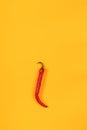 Red hot chili pepper on yellow surface. Beautiful food art background Royalty Free Stock Photo