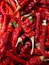 Red hot chili peppers Royalty Free Stock Photo
