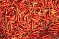 Red hot chili peppers background Royalty Free Stock Photo