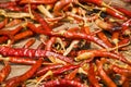 Red hot chili peppers background Royalty Free Stock Photo