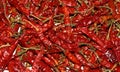 Red hot chili peppers Background,Isolated Red hot chili Royalty Free Stock Photo