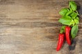 Red hot chili peppers and basil leaves on wood Royalty Free Stock Photo