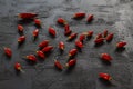 Red hot chili peppers on black background Royalty Free Stock Photo