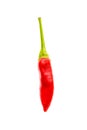 Red hot chili peppers Cayenne, Serrano with green stem. Royalty Free Stock Photo