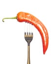 red hot chili peppers on the fork isolated on a white background Royalty Free Stock Photo