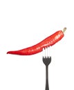 red hot chili peppers on the fork isolated on a white background Royalty Free Stock Photo