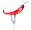 Red hot chili peppers on the fork Royalty Free Stock Photo