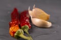 Red hot chili peppers and garlic, isolated on black