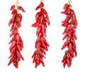 Red hot chili peppers hanging on a three ropes Royalty Free Stock Photo