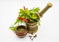 Red Hot Chili Peppers, herbs and spices with Mortar and Pestle Royalty Free Stock Photo