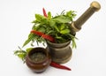 Red Hot Chili Peppers, herbs and spices with Mortar and Pestle Royalty Free Stock Photo