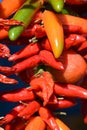 Red hot chili peppers, Pimientos Choriceros Royalty Free Stock Photo