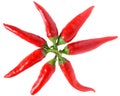 Red hot chili peppers stack top view Royalty Free Stock Photo