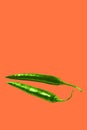 Red hot chili peppers toned to green color isolated on living coral background