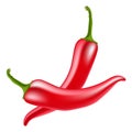 Red hot chili peppers on white background Royalty Free Stock Photo
