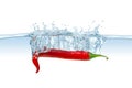 Red hot chili Royalty Free Stock Photo