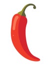 red hot chili vegetable icon Royalty Free Stock Photo