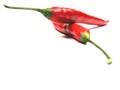 Red hot chilie peppers Royalty Free Stock Photo