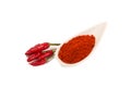 Red hot chilies isolated, Hot peppers and chili powder Royalty Free Stock Photo