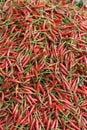Red, hot chilipepper Royalty Free Stock Photo