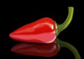 Red hot chilli Royalty Free Stock Photo