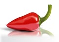 Red hot chilli Royalty Free Stock Photo