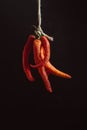 Red hot chilli chilies pepper bunch, tied by string on a dark background