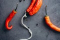 Red hot chilli chilies pepper bunch, tied by string on a gray background.