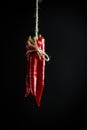 Red hot chilli pepper Royalty Free Stock Photo