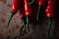 Red hot chilli pepper covered in water droplets on wooden background. Royalty Free Stock Photo