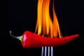 Red hot chilli pepper on fire