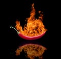Red hot chilli pepper in flame Royalty Free Stock Photo
