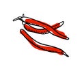 Red hot chilli pepper hand drawn icon Royalty Free Stock Photo