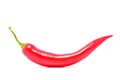 Red hot chilli pepper isolated on a white background Royalty Free Stock Photo