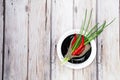 Red hot chilli pepper and scallions on plate Royalty Free Stock Photo
