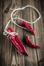 Red hot chilli pepper Royalty Free Stock Photo