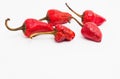 Red hot chilli peppers Royalty Free Stock Photo