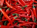 Red hot chilli peppers background. A cluster of red hot chili peppers in a heap at the bottom of the box. Street vegetable market Royalty Free Stock Photo