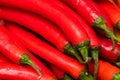 Red hot chilli peppers, close up. Background of red chilies Royalty Free Stock Photo