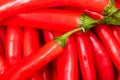 Red hot chilli peppers, close up. Background of red chilies Royalty Free Stock Photo