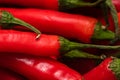 Red hot chilli peppers, close up. Background of red chilies Royalty Free Stock Photo