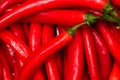 Red hot chilli peppers, close up. Background of red chilies Royalty Free Stock Photo