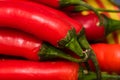 Red hot chilli peppers, close up. Background of red chilies Royalty Free Stock Photo